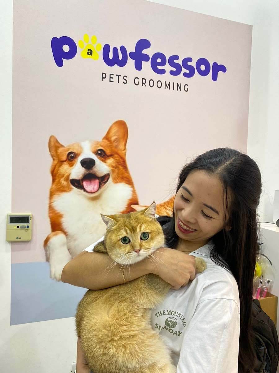 Pawfessor — photo from the google listing